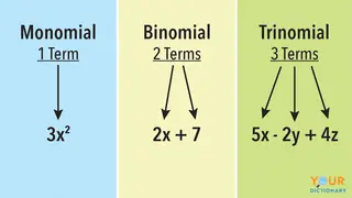 monomial binomial trinomial example