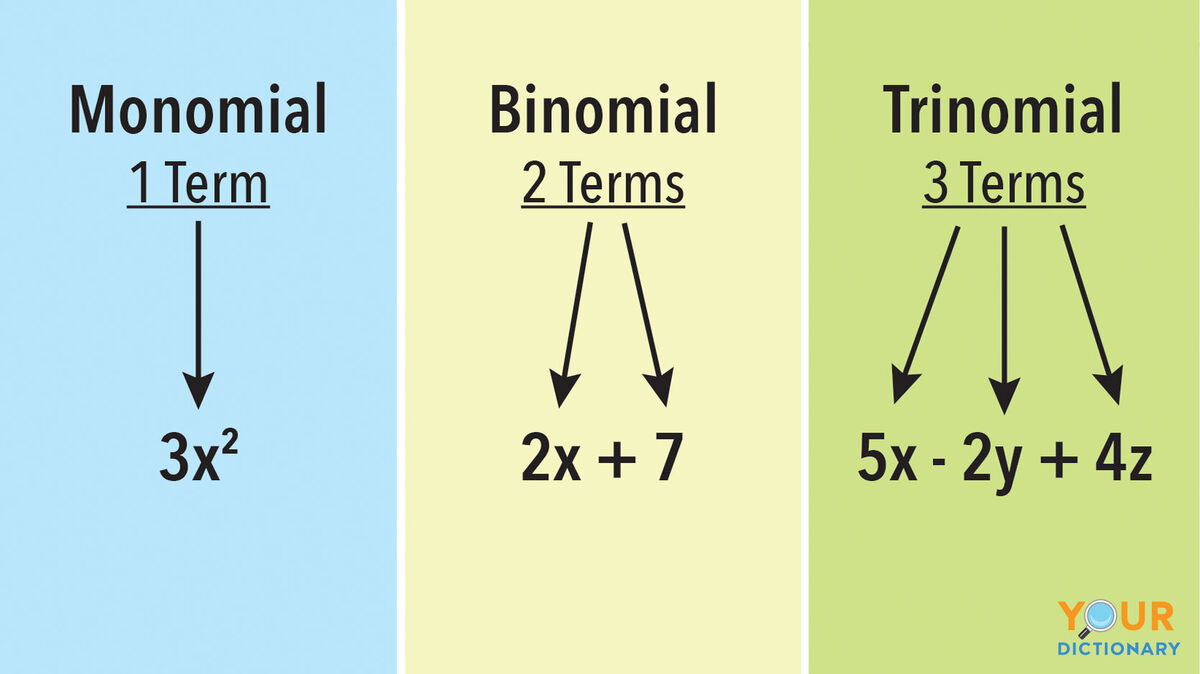 chart showing monomial, binomial and trinomial terms
