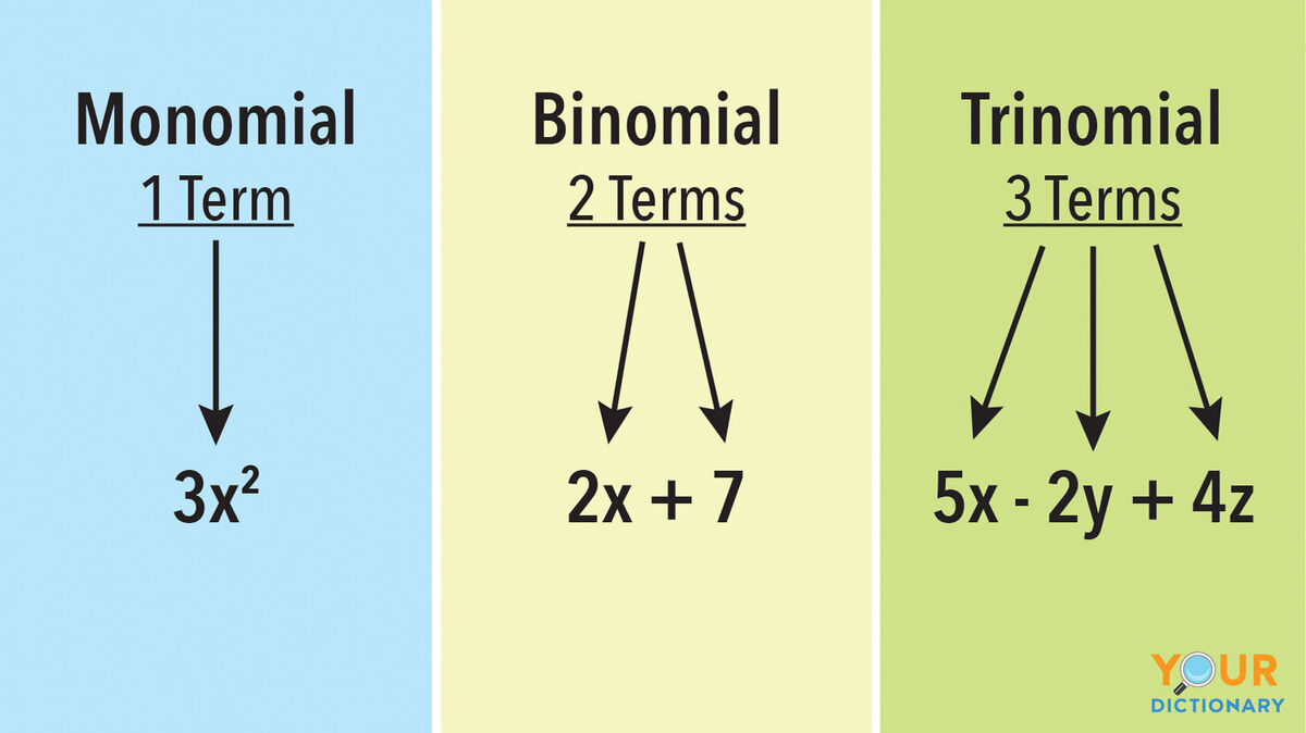 Examples of Monomials and Polynomials | YourDictionary