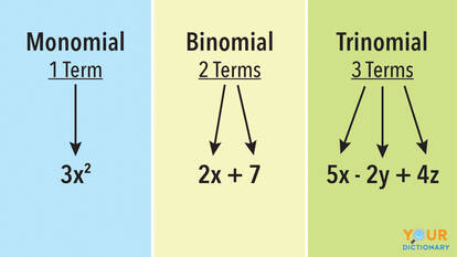 Examples Of Monomials And Polynomials 