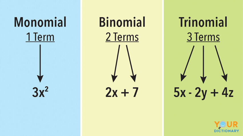 examples-of-monomials-and-polynomials-yourdictionary