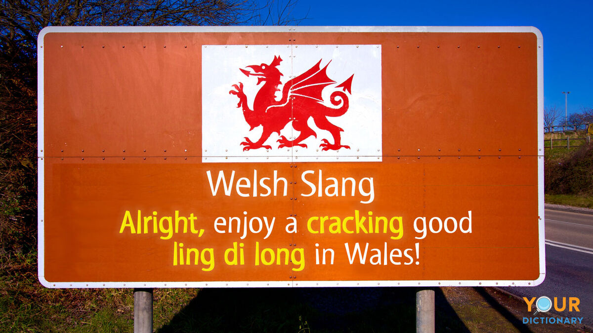 welsh slang example sentence on sign