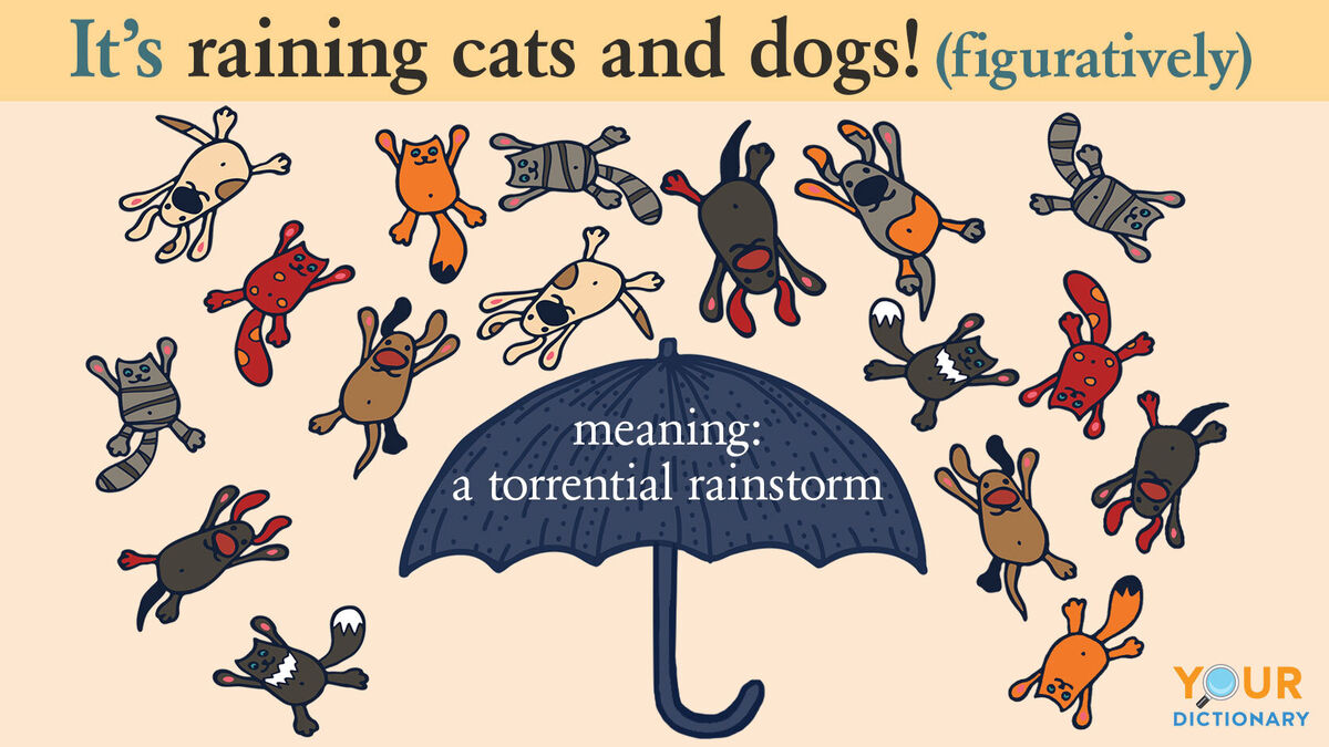 Raining meaning. Raining Cats and Dogs идиома. It Rains Cats and Dogs. 'It's raining Cats and Dogs' means. Rain Cats and Dogs.