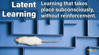 latent learning definition mouse in maze