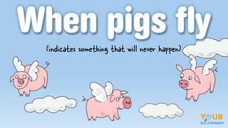 funny impossible idiom when pigs fly