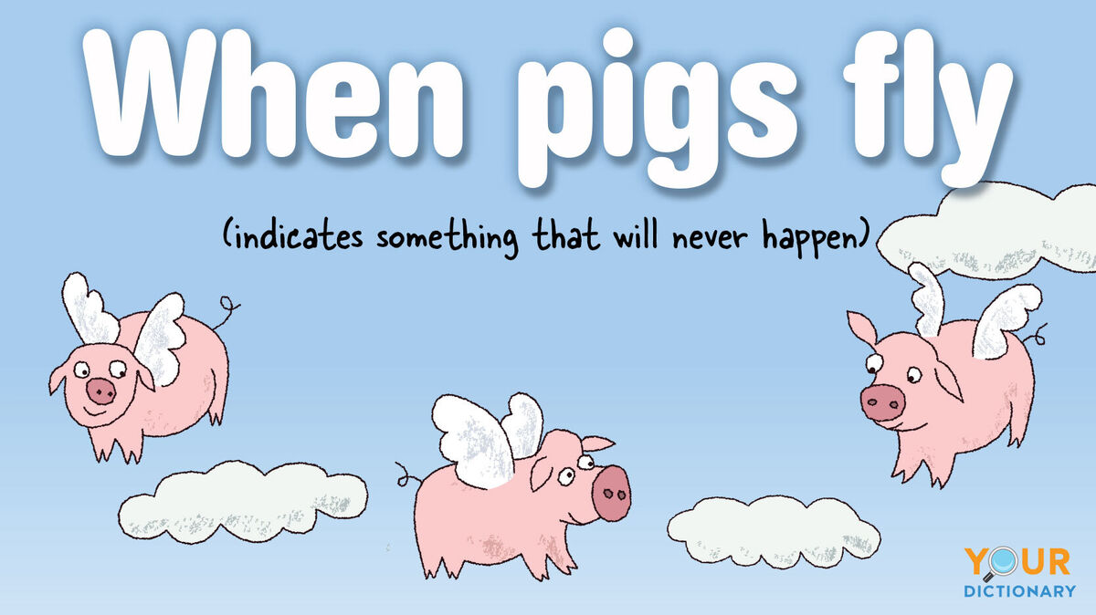 funny impossible idiom when pigs fly