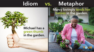 Idiom vs metaphor example Idiom vs metaphor example