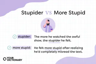 example sentences from the article using stupider and more stupid