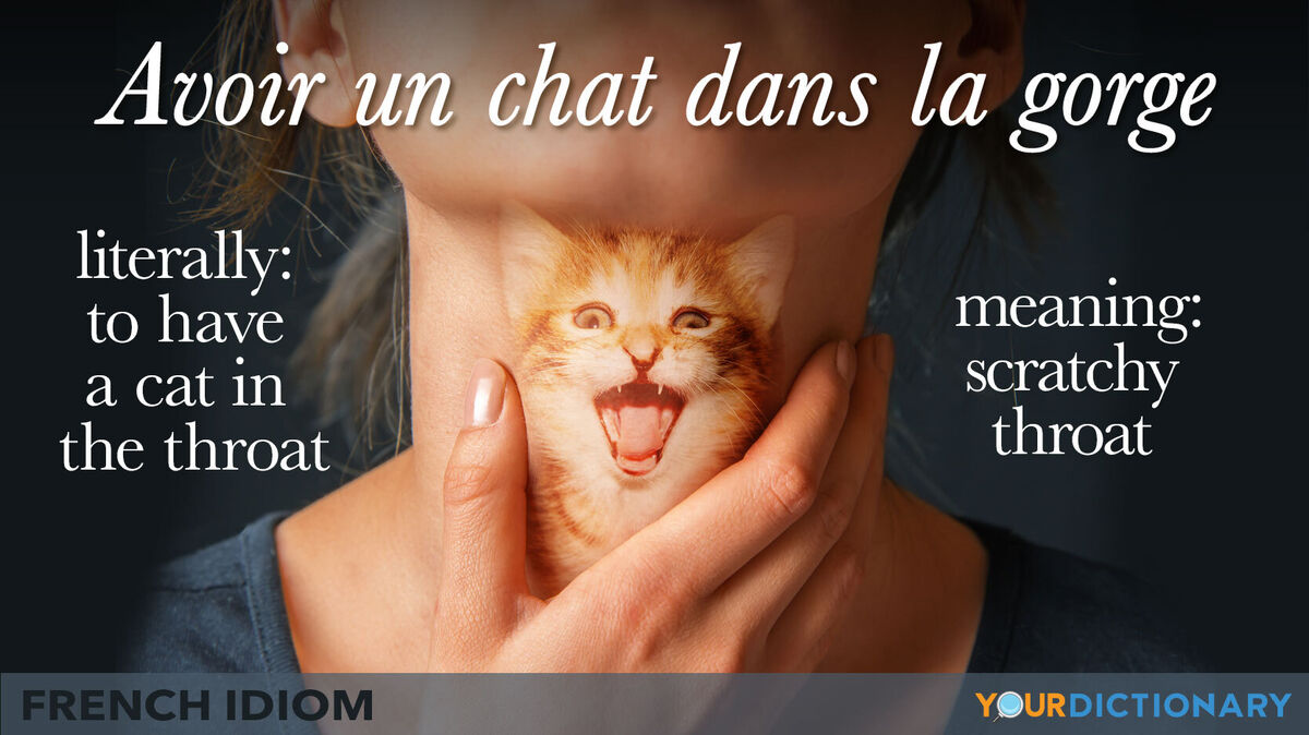 French expression idiom of cat in the throat