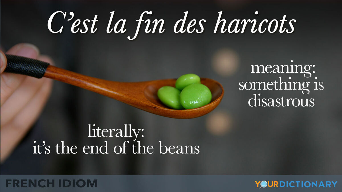 French idiom expression of something is disastrous