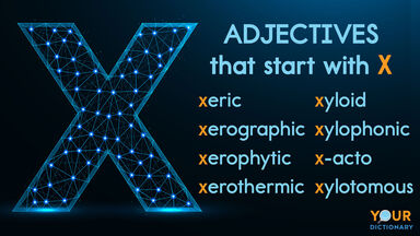 adjectives that start with x
