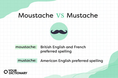 descriptions from the article of where the moustache and mustache spellings are used