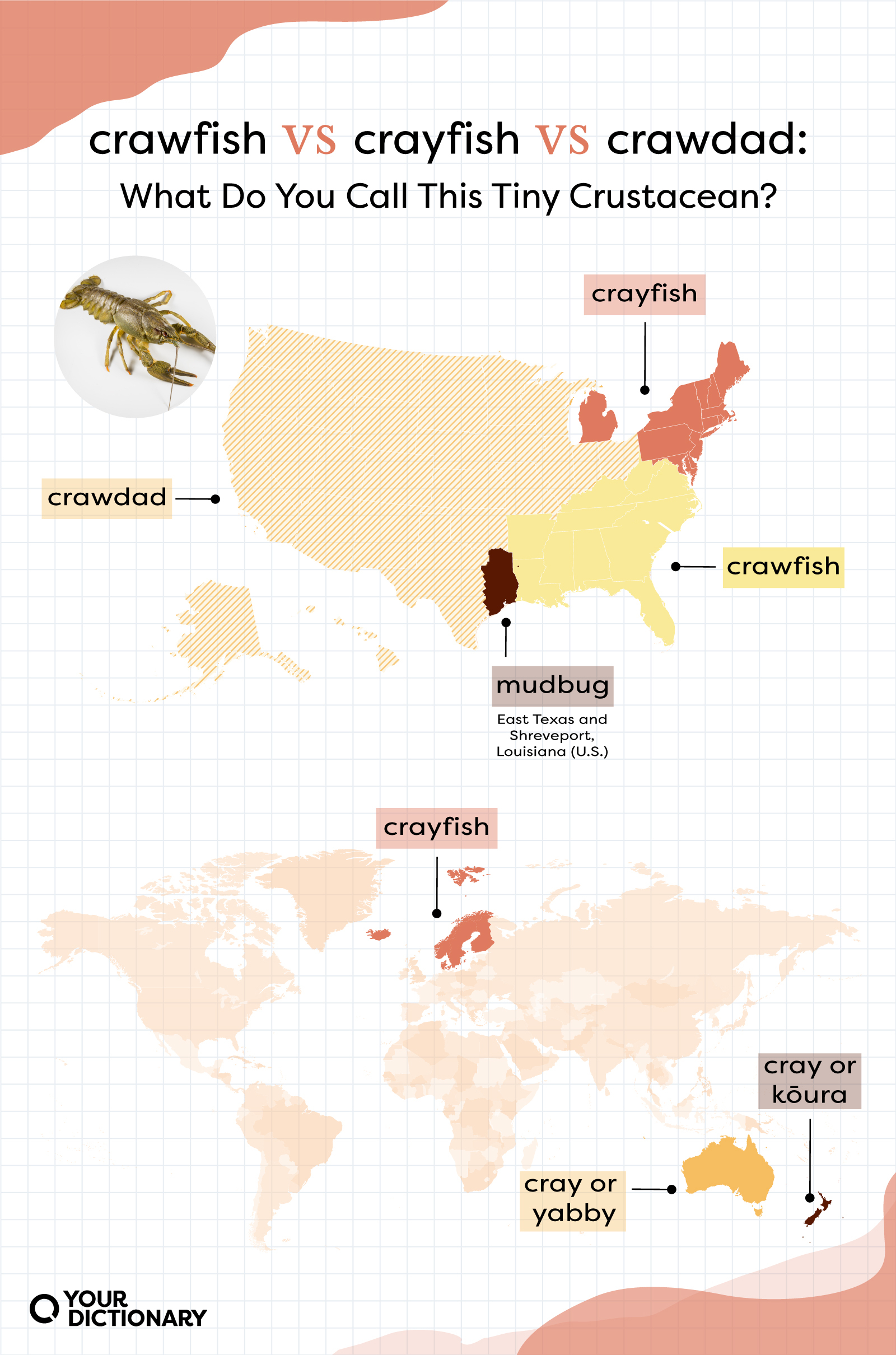 Map of the U.S. and the world that show regions that use each term: "crawfish," "crawdad," or "crayfish."