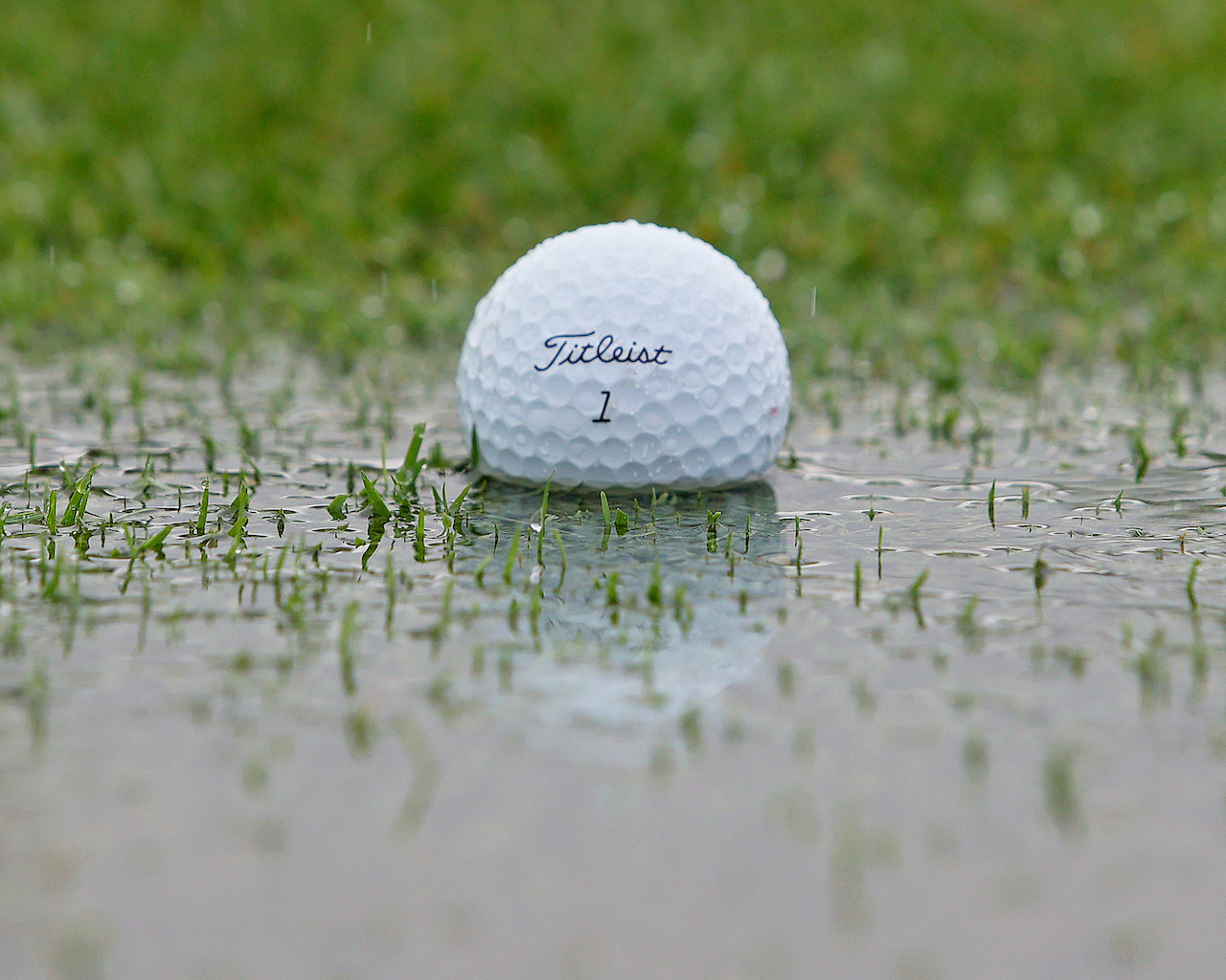 Golf ball in puddle