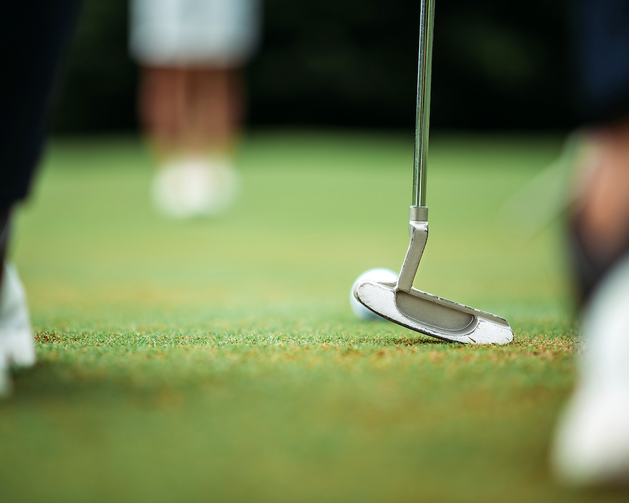 Putter and ball on putting green