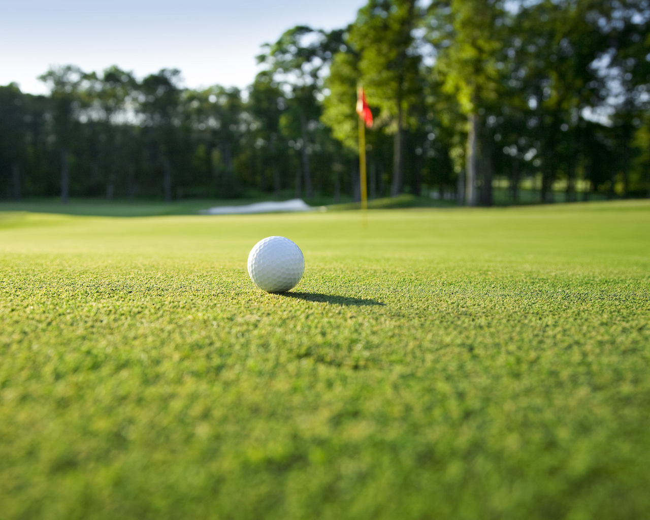 Greens in Regulation Simply Explained | Golflink.com