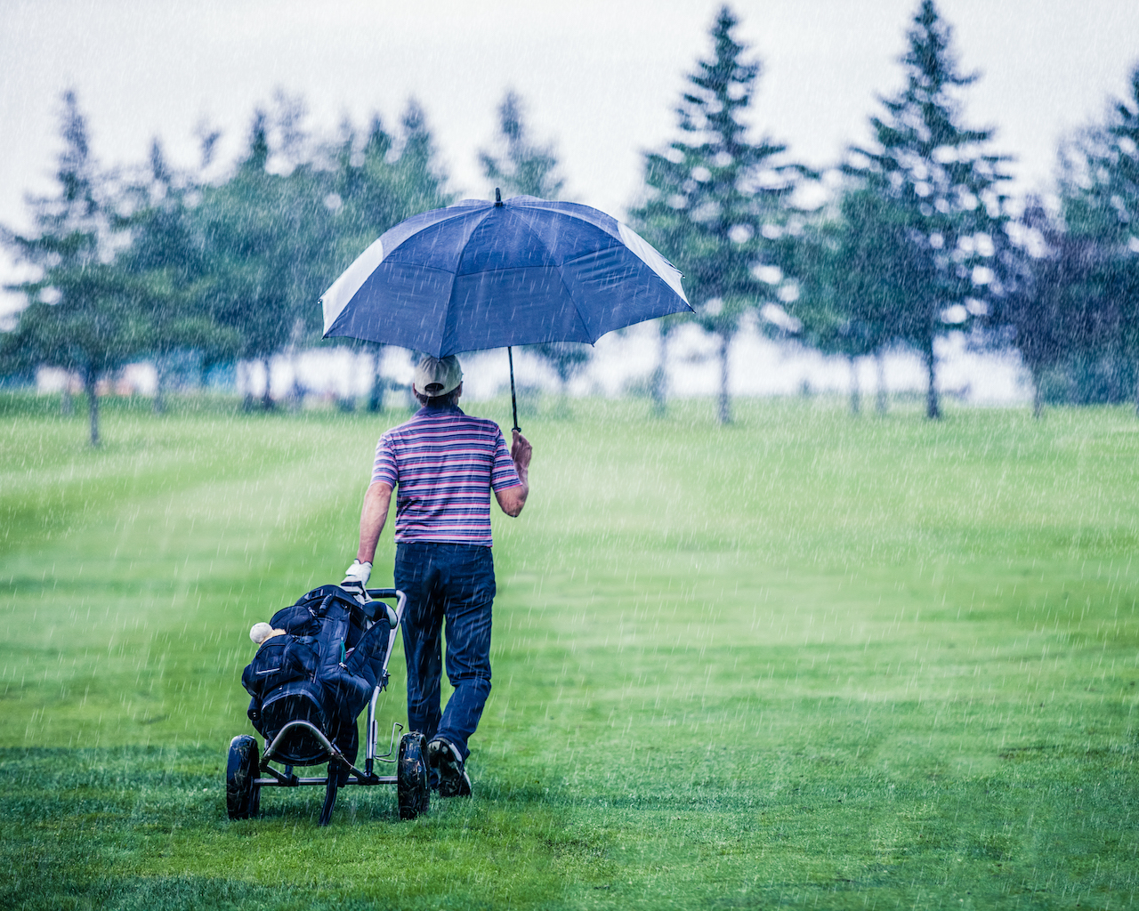 Golfer with umbrella in rain
