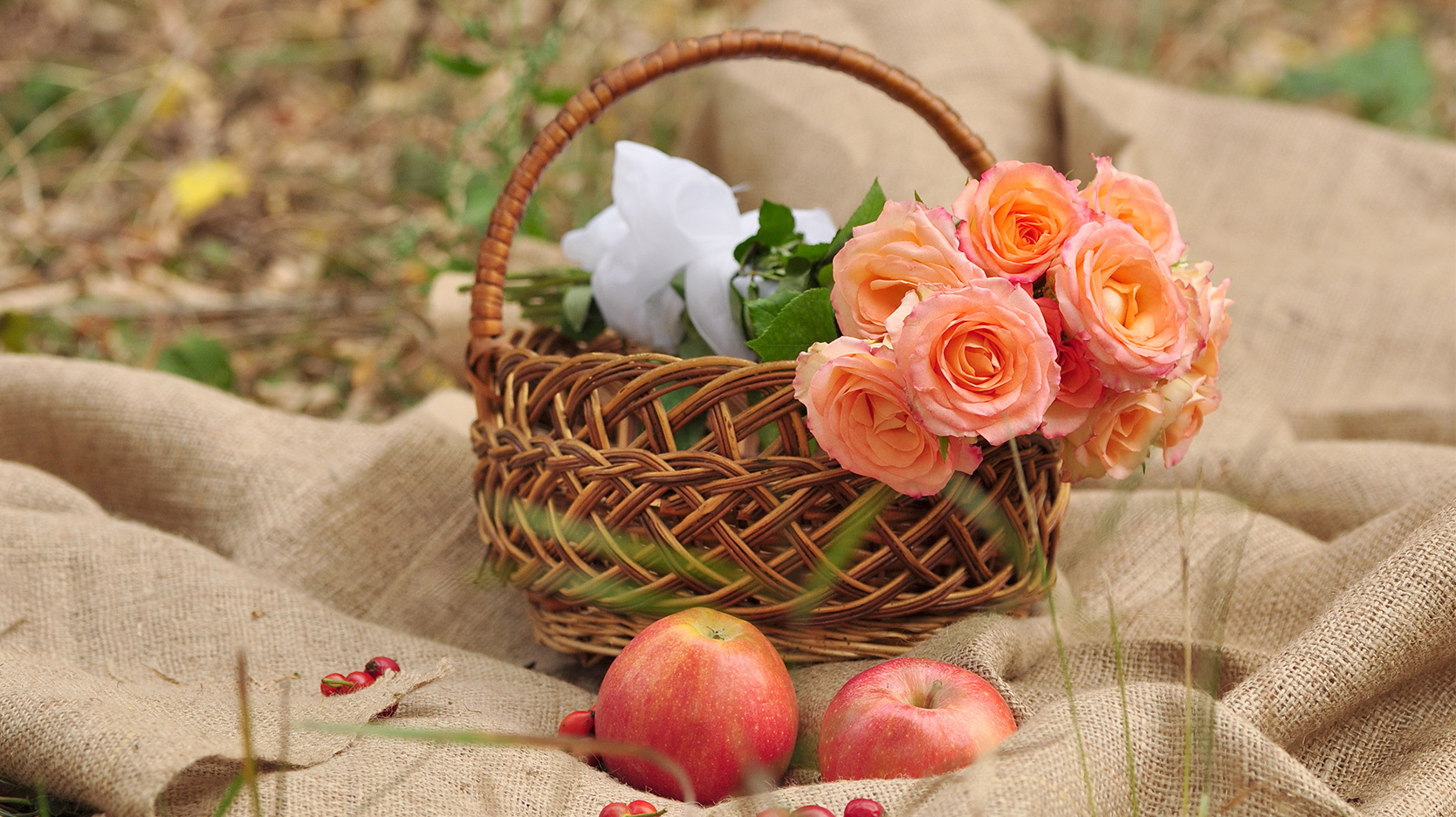 Apple and Roses in a Basket