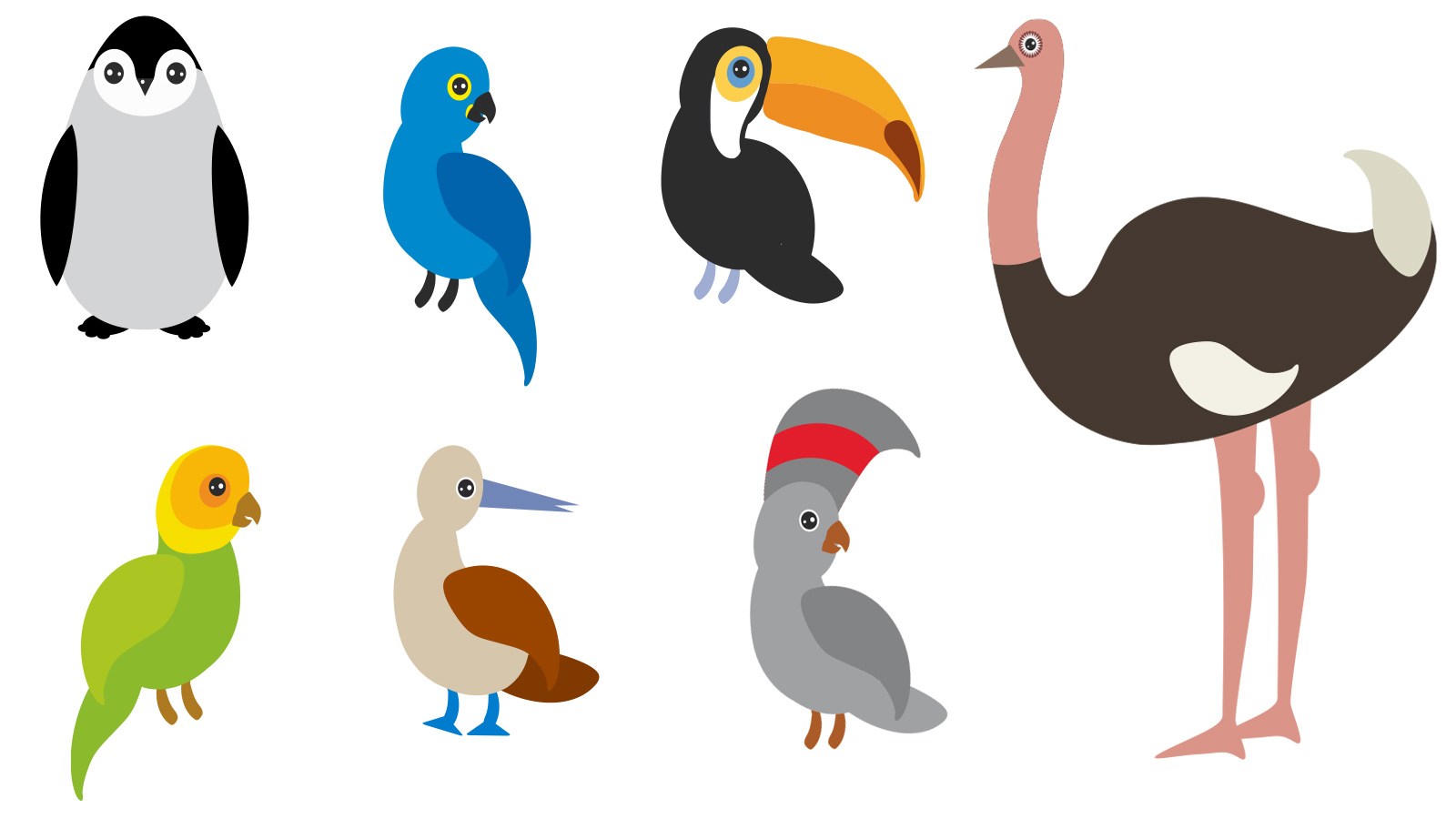 illustrations of examples of birds