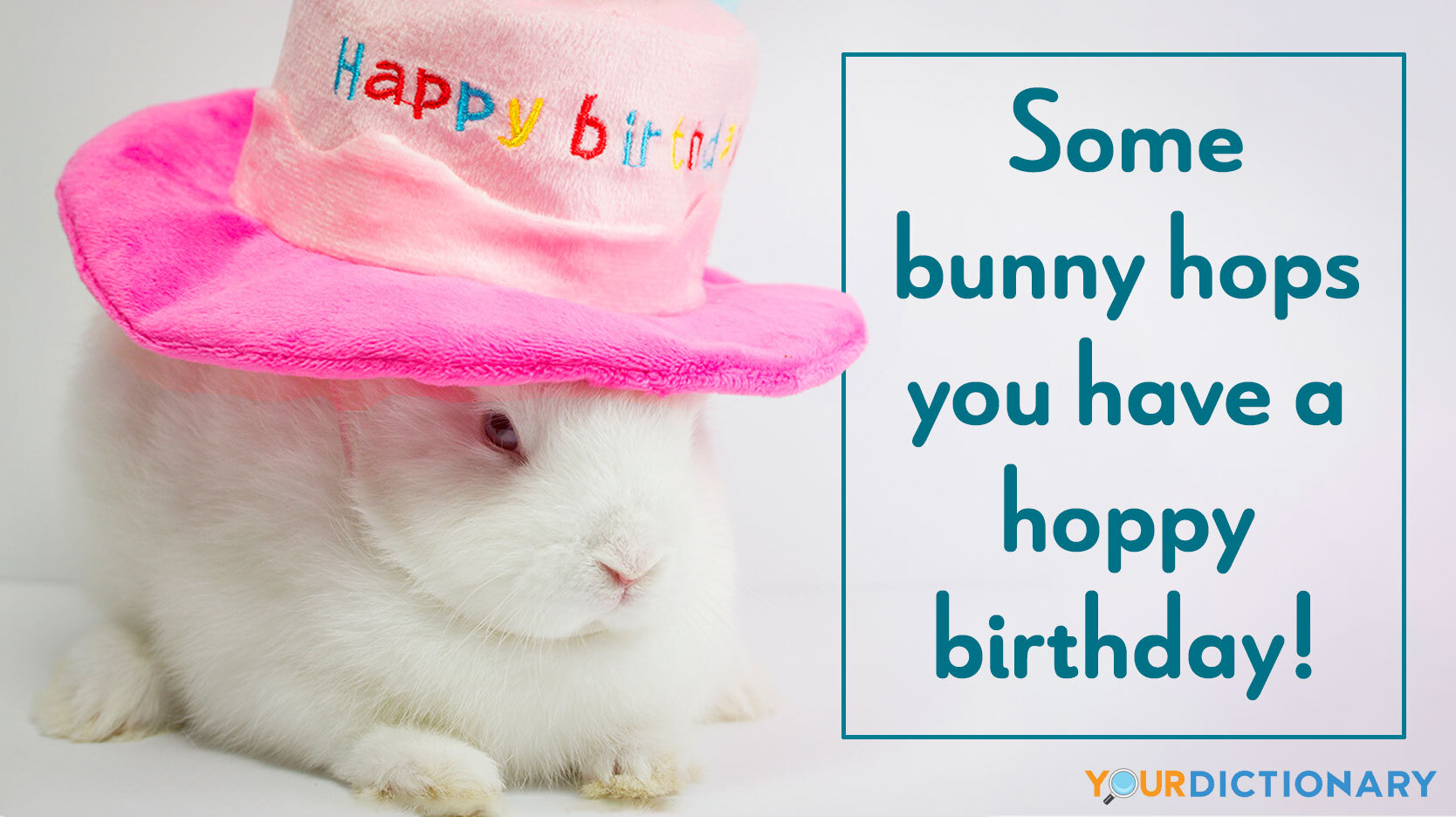 pun bunny hoppy birthday