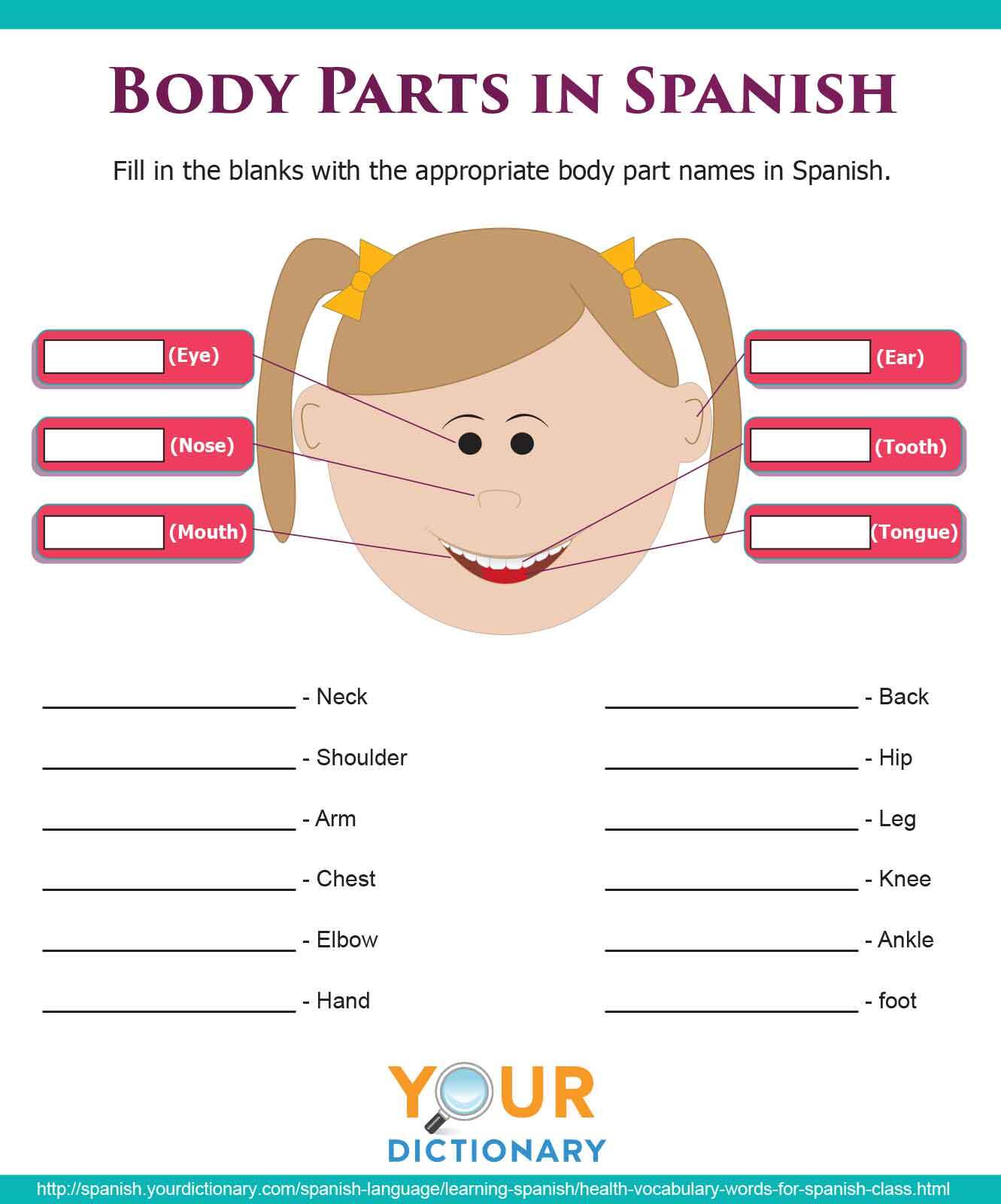 body parts in spanish