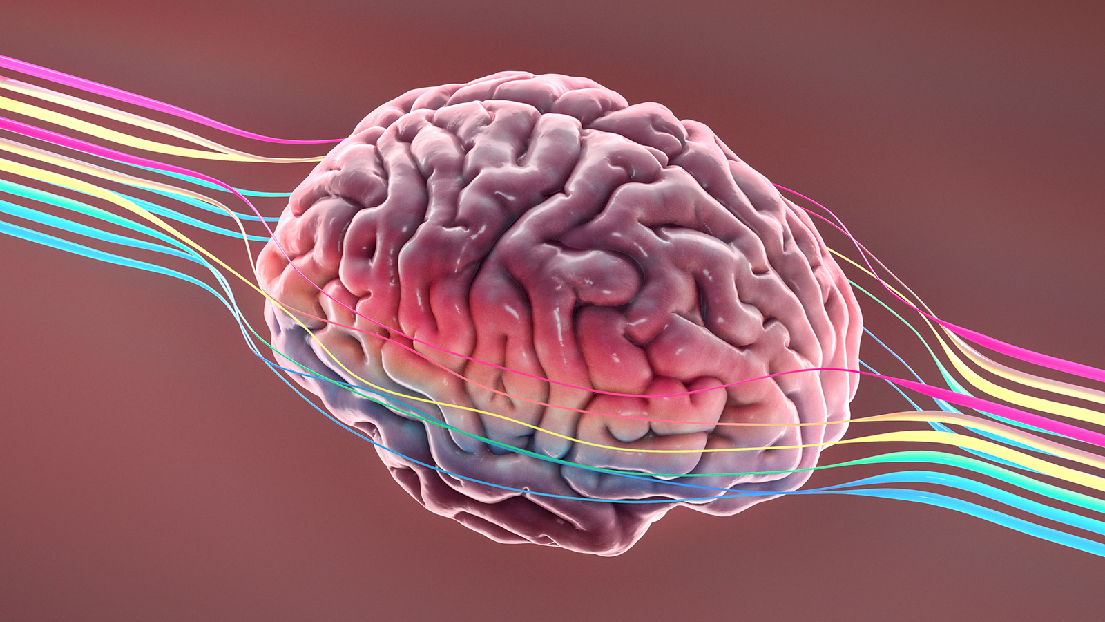 brain with creative brain waves