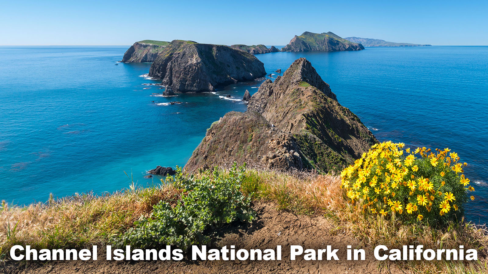 Marine Biome Channel Islands National Park California