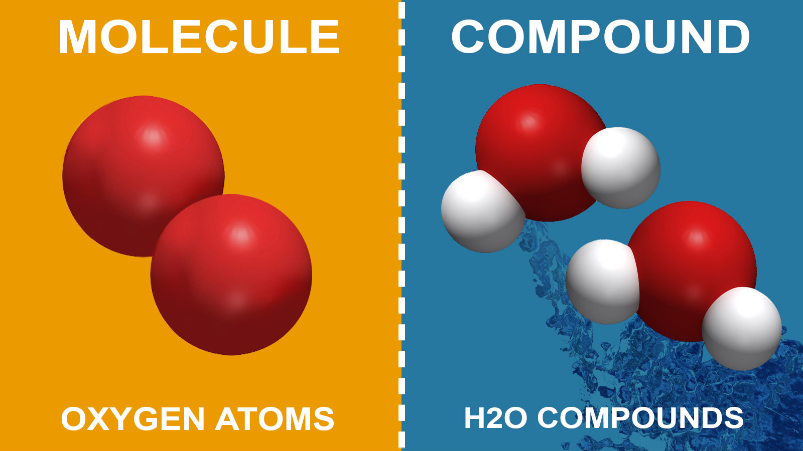 difference between molecule and compound