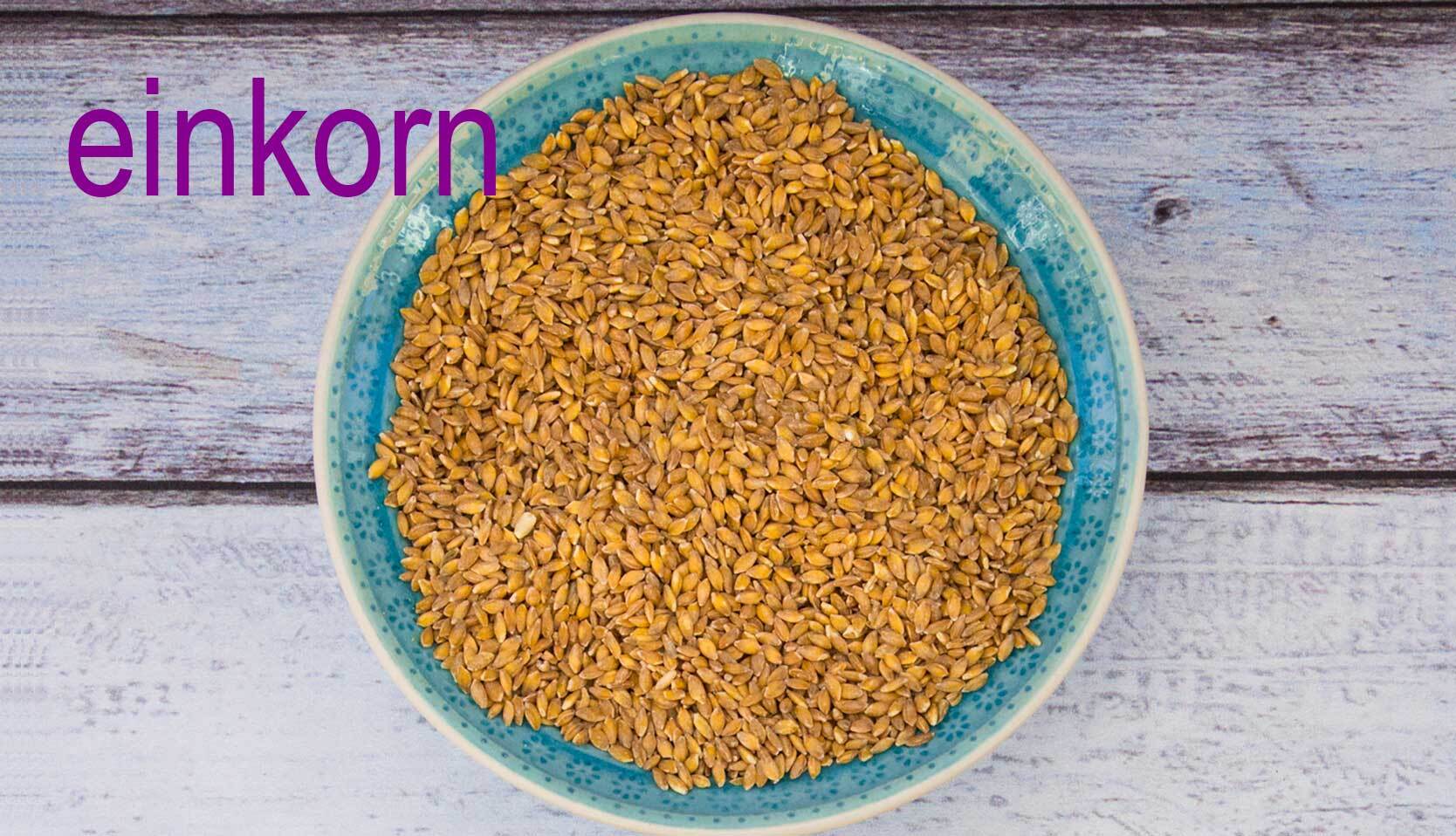 bowl of einkorn wheat grains
