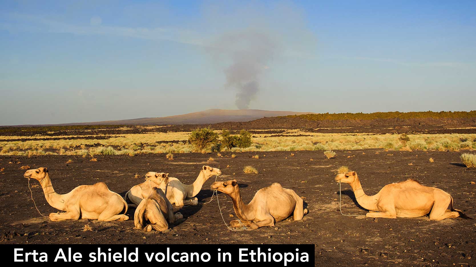 erta ale shield volcano ethiopia