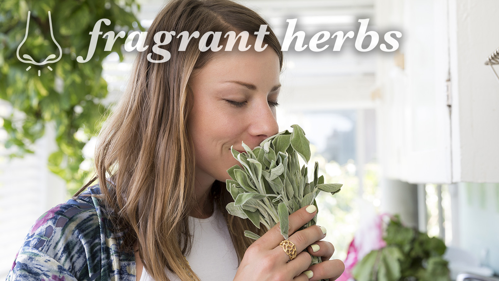 scent sensory word fragrant herbs description