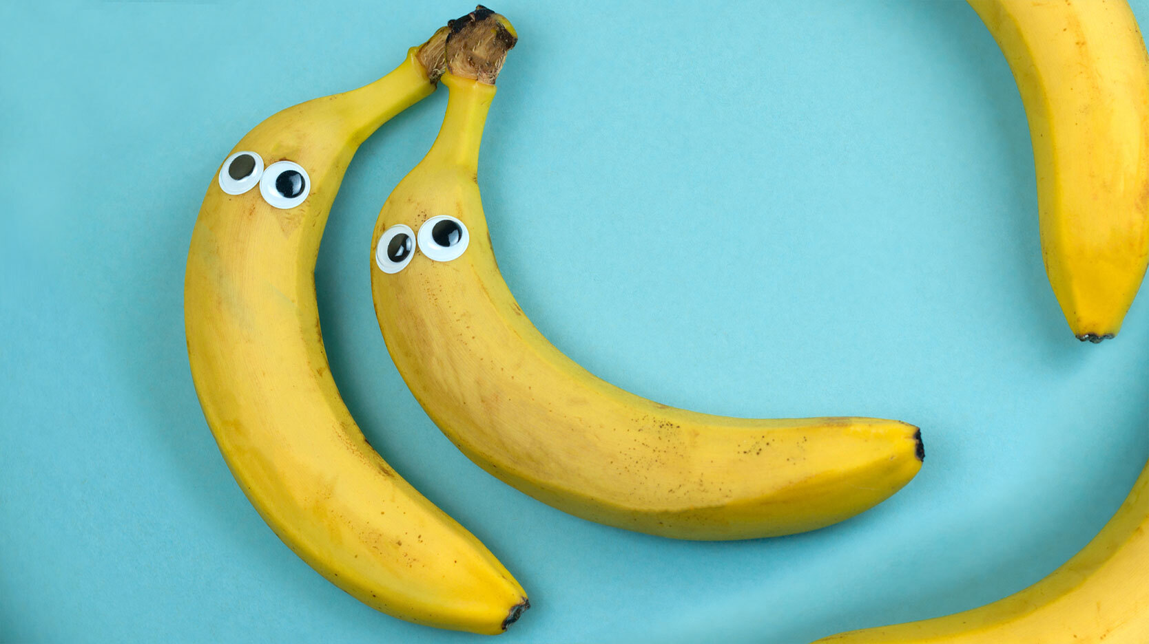 fun food fact of clone bananas