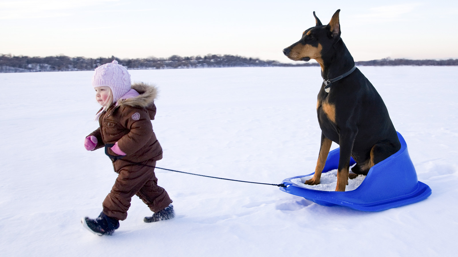 Example sliding friction girl pulling dog on sled