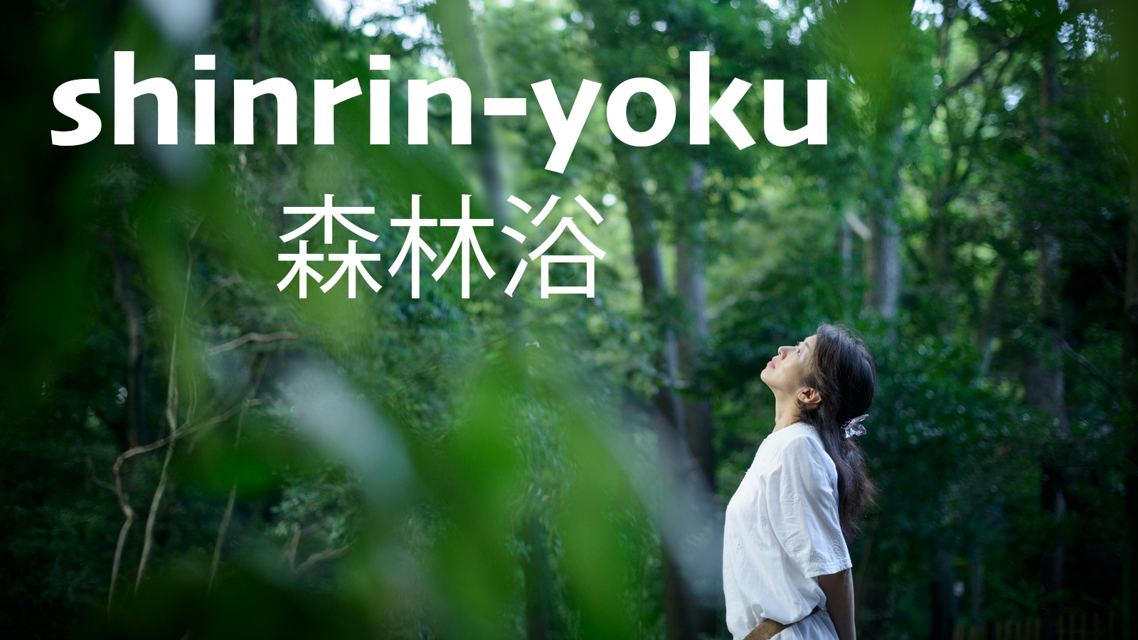 translation of japanese word shinrinyoku is forest bathing