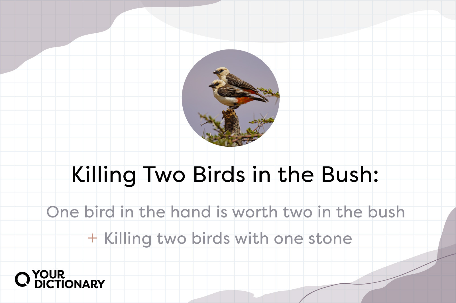 Two birds on bush with malaphor example