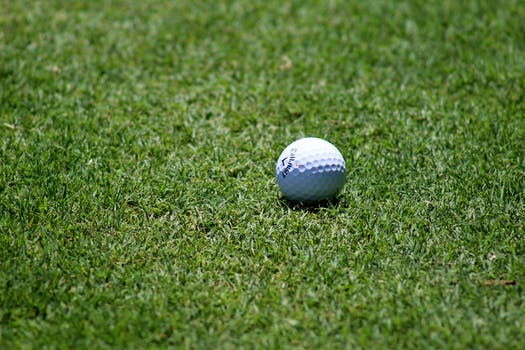 Free stock photo of grass, ball, golf, golf ball