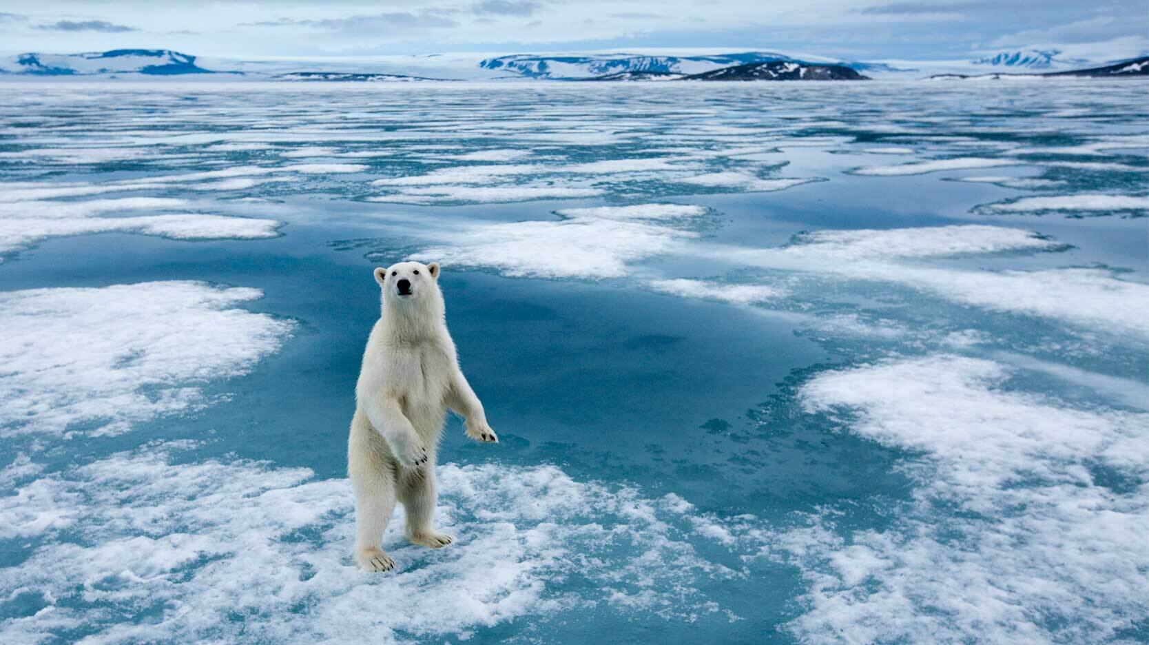 Examples Of Global Warming Impact And Possibilities