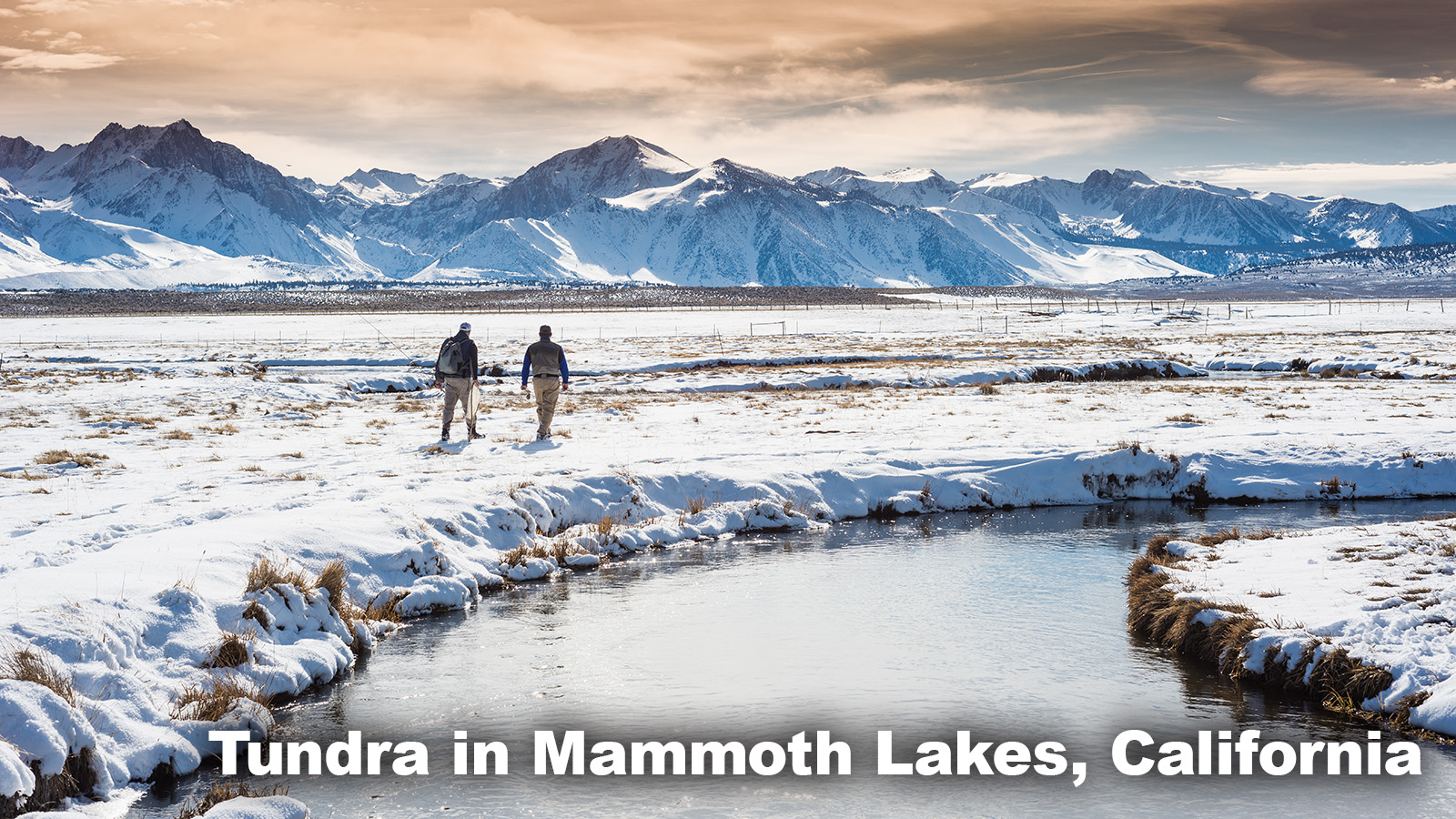 Tundra Biome Mammoth Lakes, California